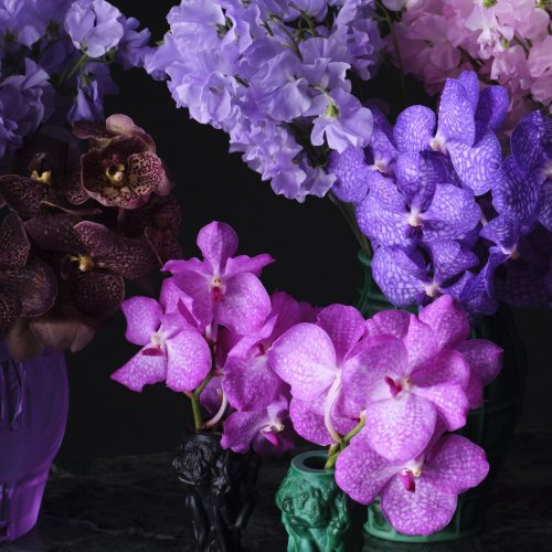 Микс из японских латирусов и орхидеи Ванда
