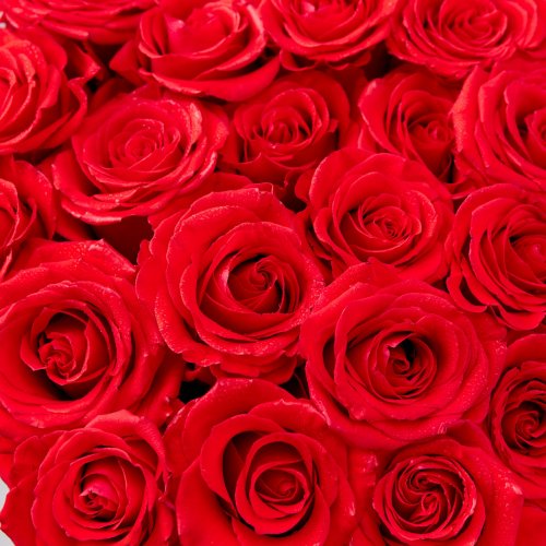 Коллекция Декабрь. Яркий букет из шикарных красных роз