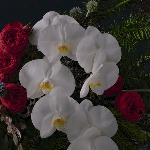 Коллекция Декабрь. Авторская дизайнерская композиция с орхидеями