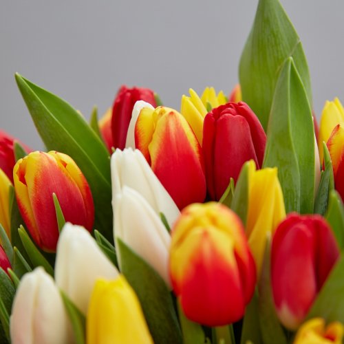 Коллекция Март. Букет из разноцветных тюльпанов